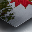 The tree leaf Metal print