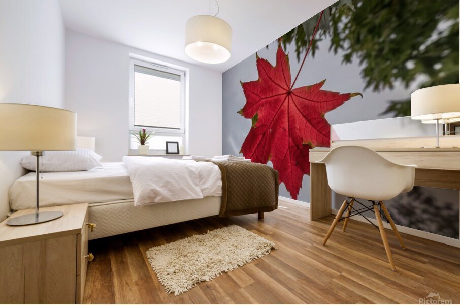 The tree leaf Mural print