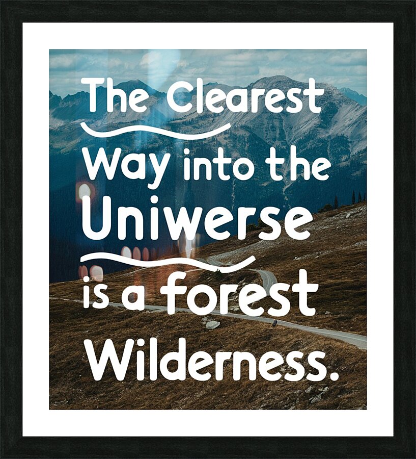 The forest grandeur Picture Frame print