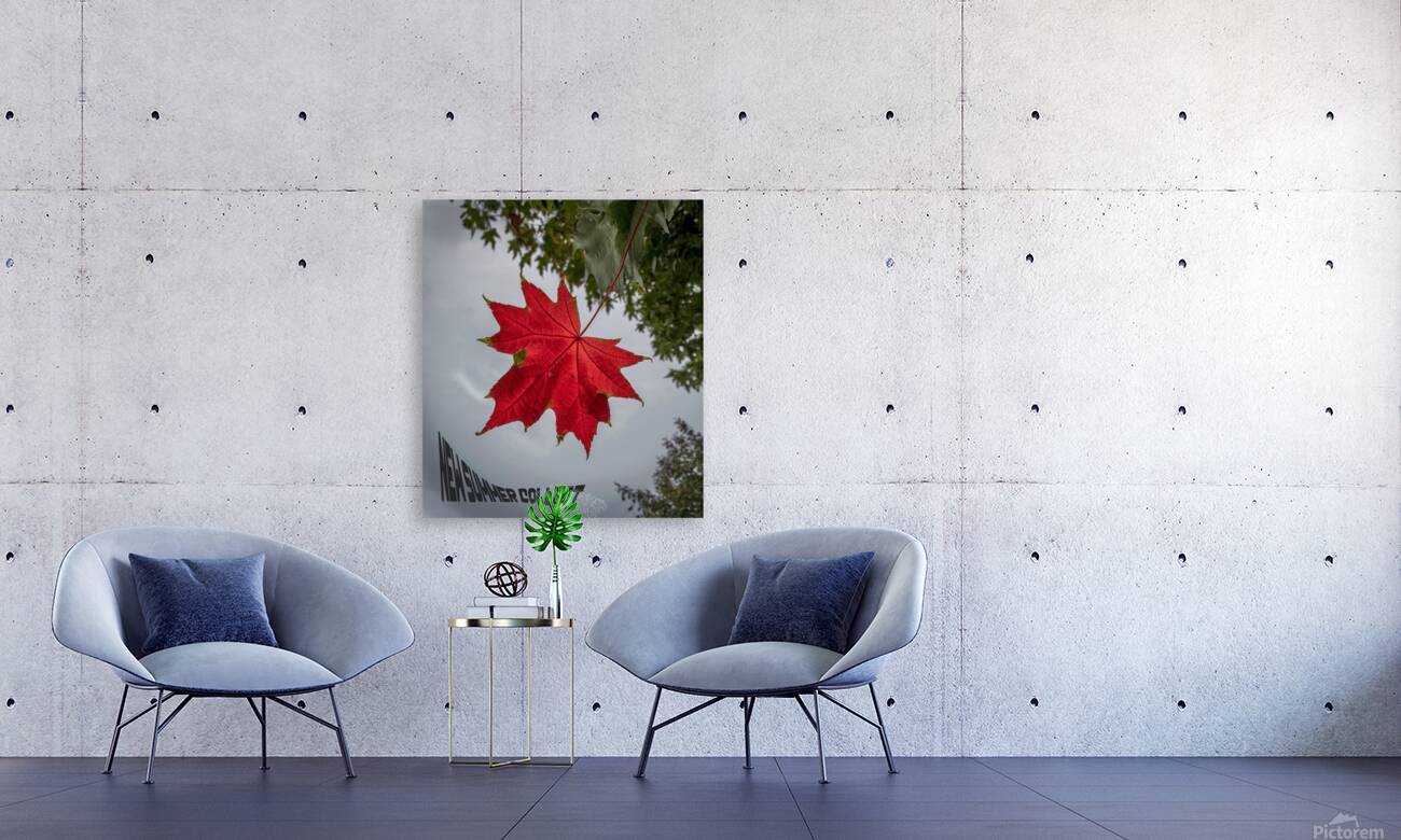 The tree leaf Reproduction