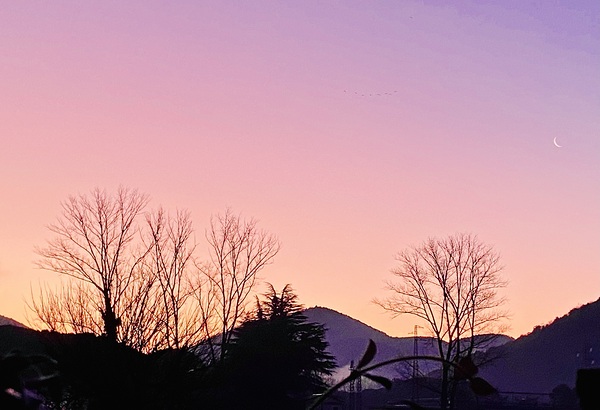 Dawn Digital Download