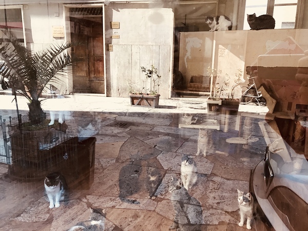 Window reflections Digital Download