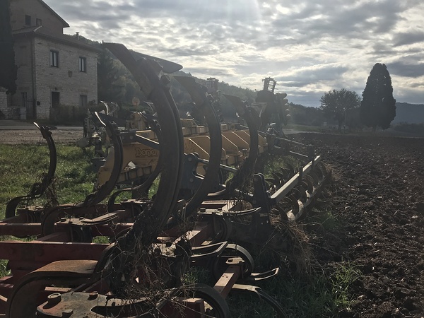 Old plows Digital Download