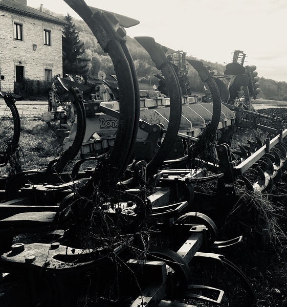 Old plows Digital Download