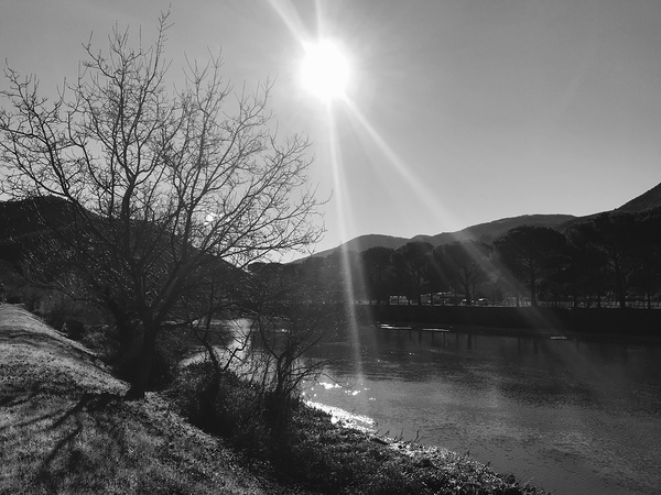 Midday river Digital Download
