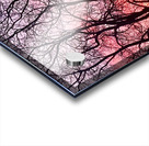 Sunset and branches Acrylic print