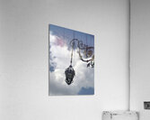 A touch of class Acrylic Print