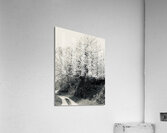 Spring Acrylic Print
