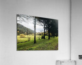 Country view 2 Acrylic Print
