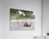 Dancing in the rain Acrylic Print