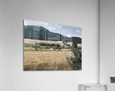 Country views Acrylic Print