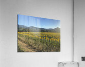 Street frame Acrylic Print