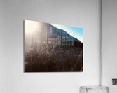 Rays Acrylic Print