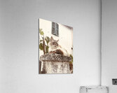 Altitudes Acrylic Print