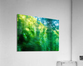 Moving colors Acrylic Print