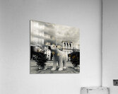City bear noir Acrylic Print