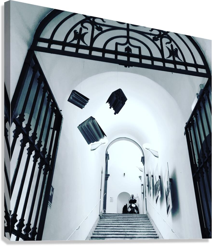 Library entrance Canvas Print
