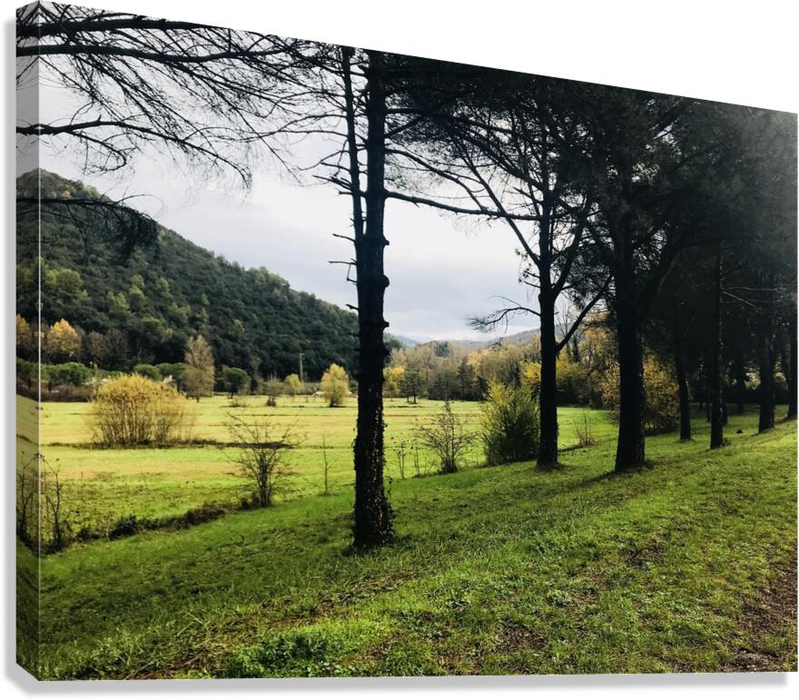 Country view 2 Canvas Print