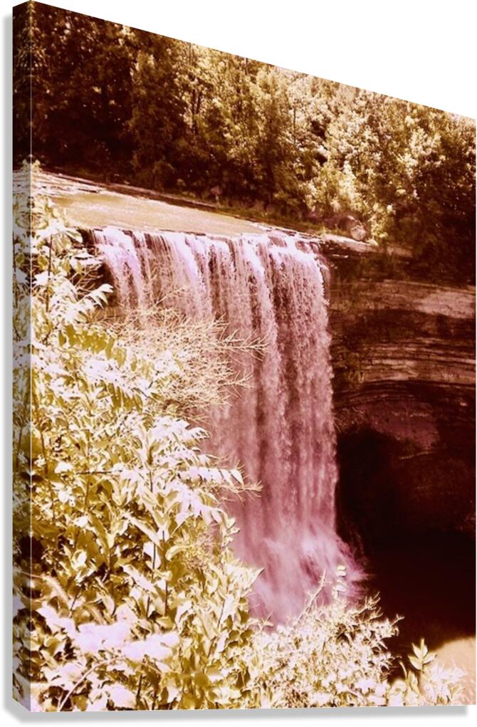 Webster Falls Ontario Canada Canvas Print