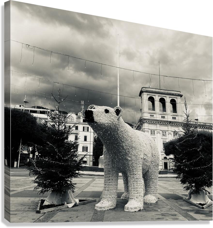City bear noir Canvas Print