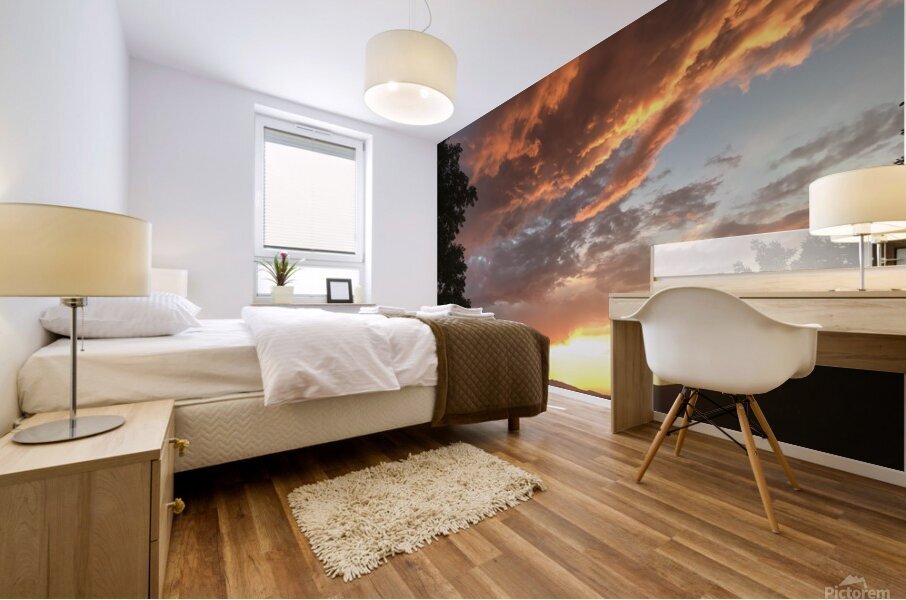 Sunset colors Mural print