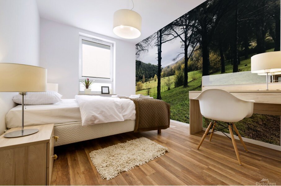 Country view 2 Mural print