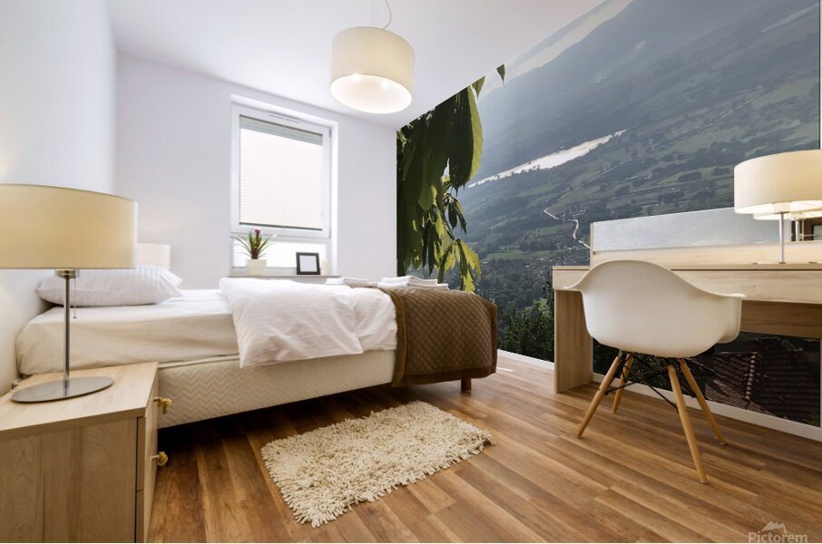 Water drop Mural print