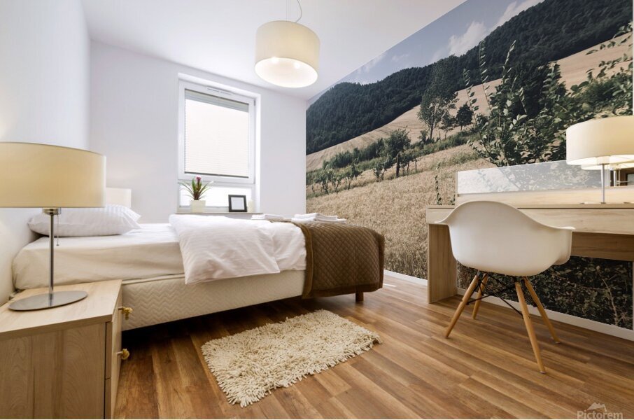 Country views Mural print