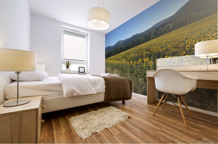 Street frame Mural print