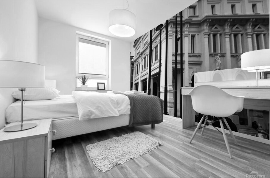 Sheer elegance Mural print