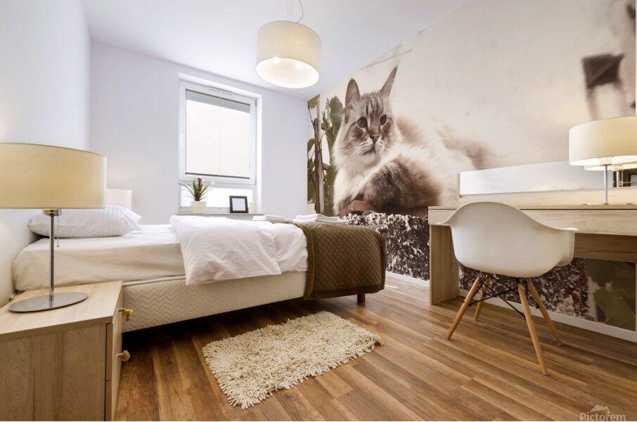 Altitudes Mural print