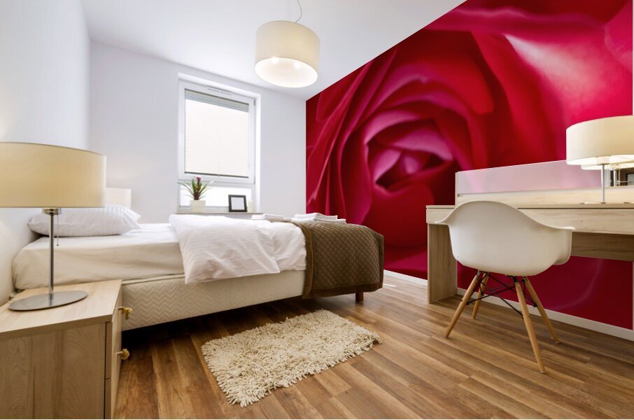 Into a rose… Mural print
