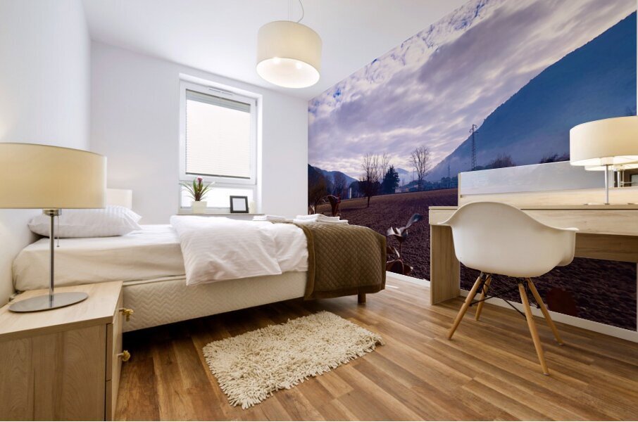 Valley hues Mural print
