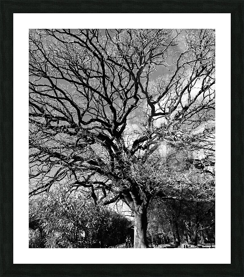 Your majesty Picture Frame print