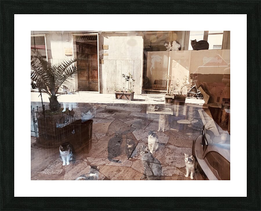 Window reflections Picture Frame print