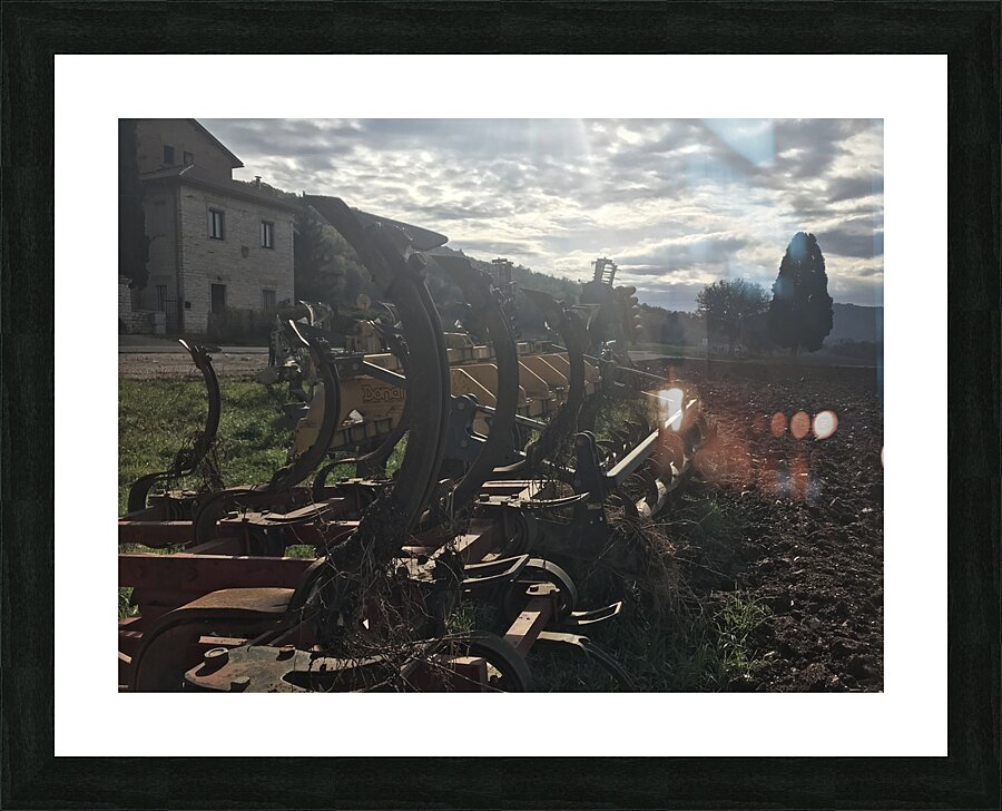 Old plows Picture Frame print