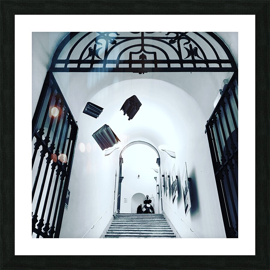 Library entrance Picture Frame print