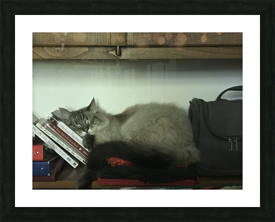  Just sleep on it Picture Frame print