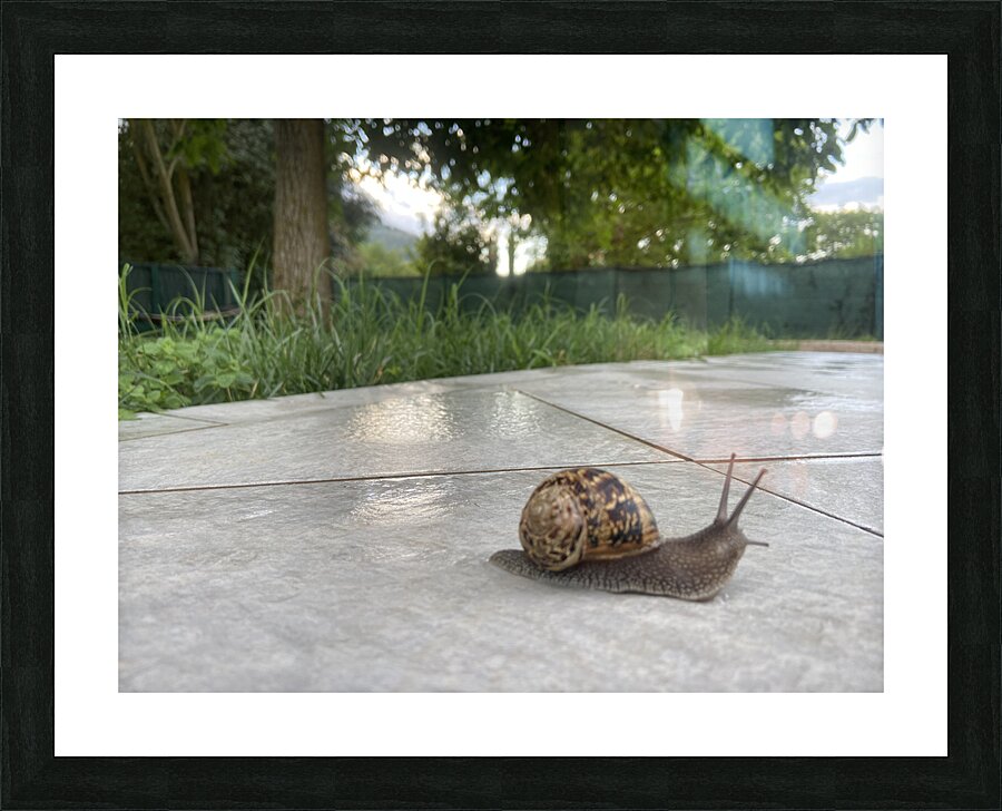 Dancing in the rain Picture Frame print
