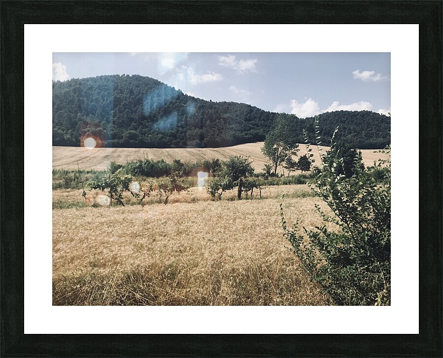 Country views Picture Frame print