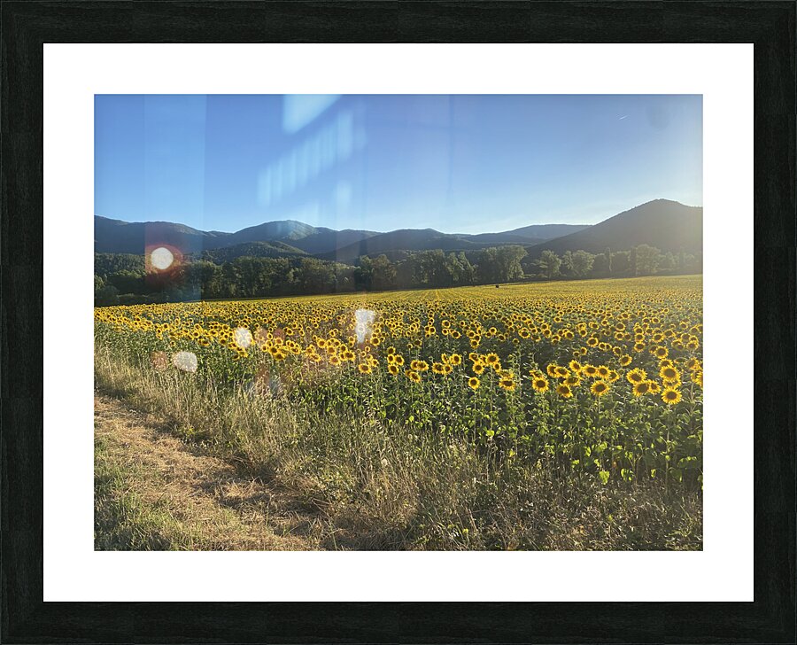 Street frame Picture Frame print