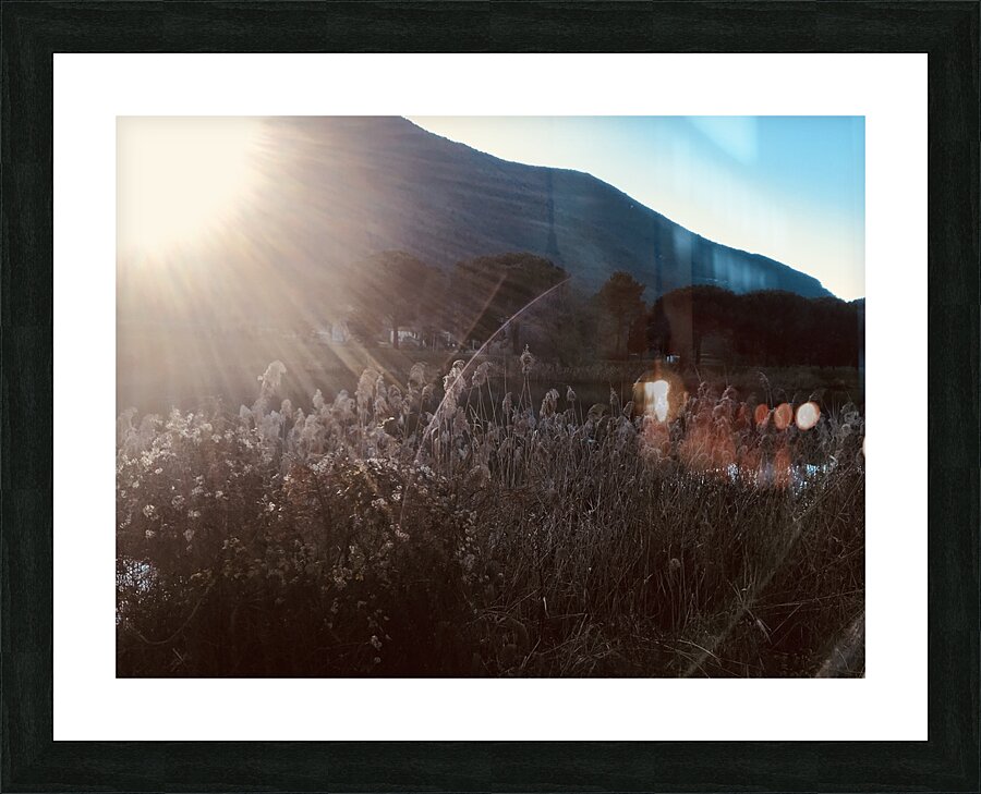 Rays Picture Frame print