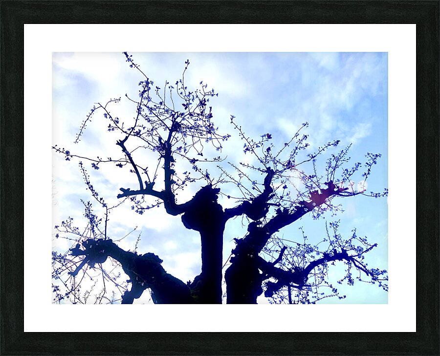 Rebirth 2 Picture Frame print