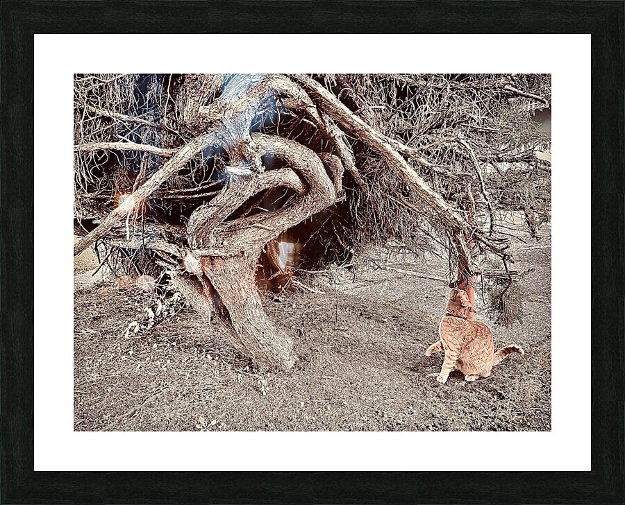 Harmony Picture Frame print