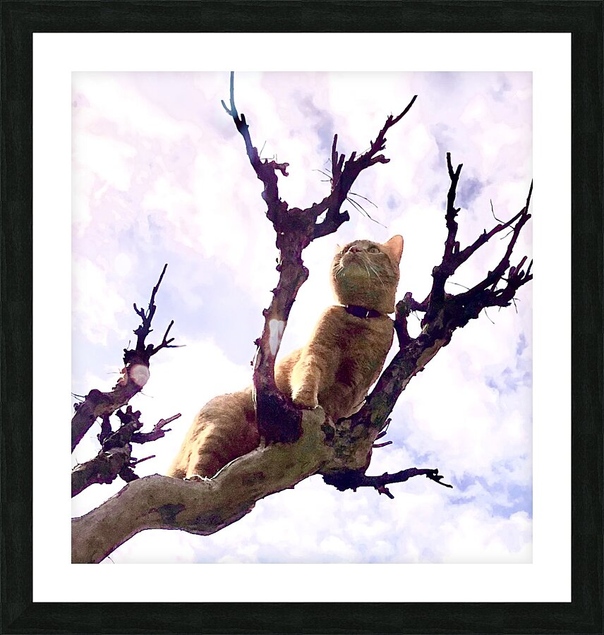 Climbing  Picture Frame print