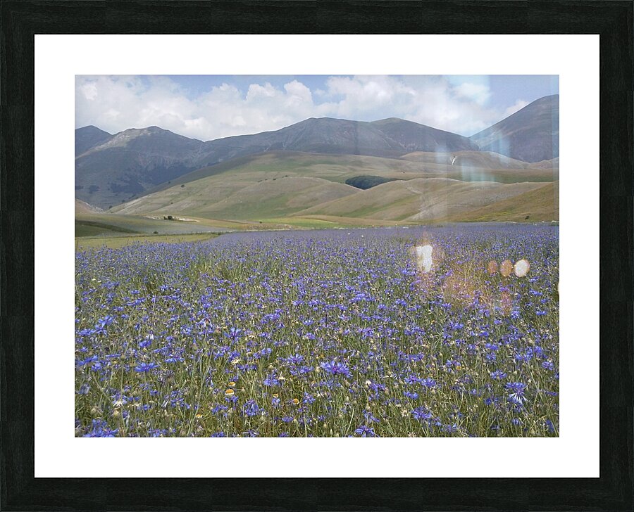 Lavander-me Picture Frame print