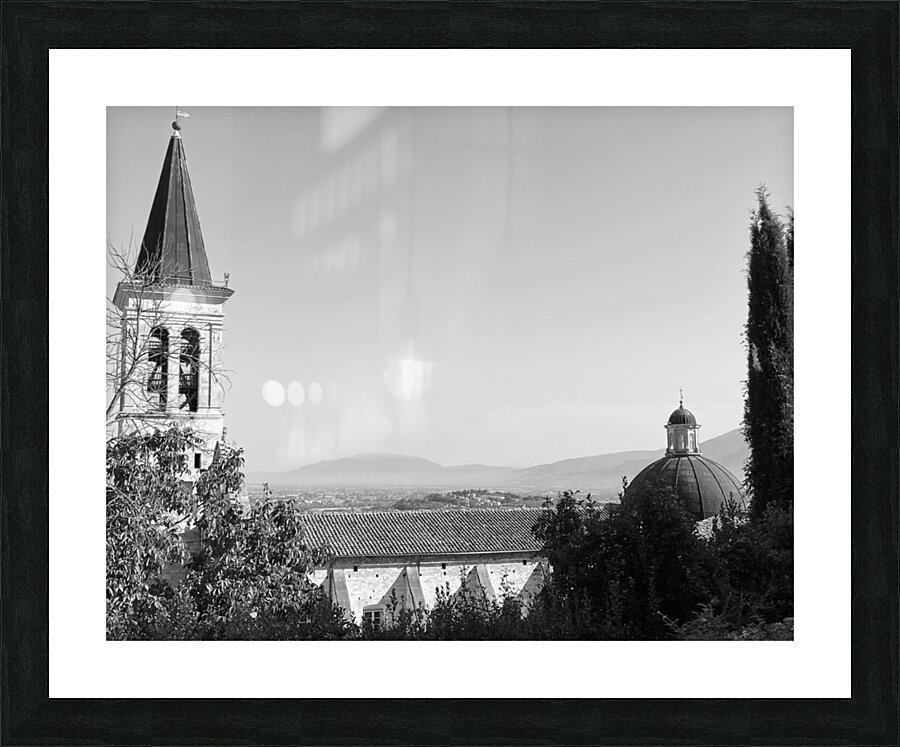 Morning dew  Picture Frame print