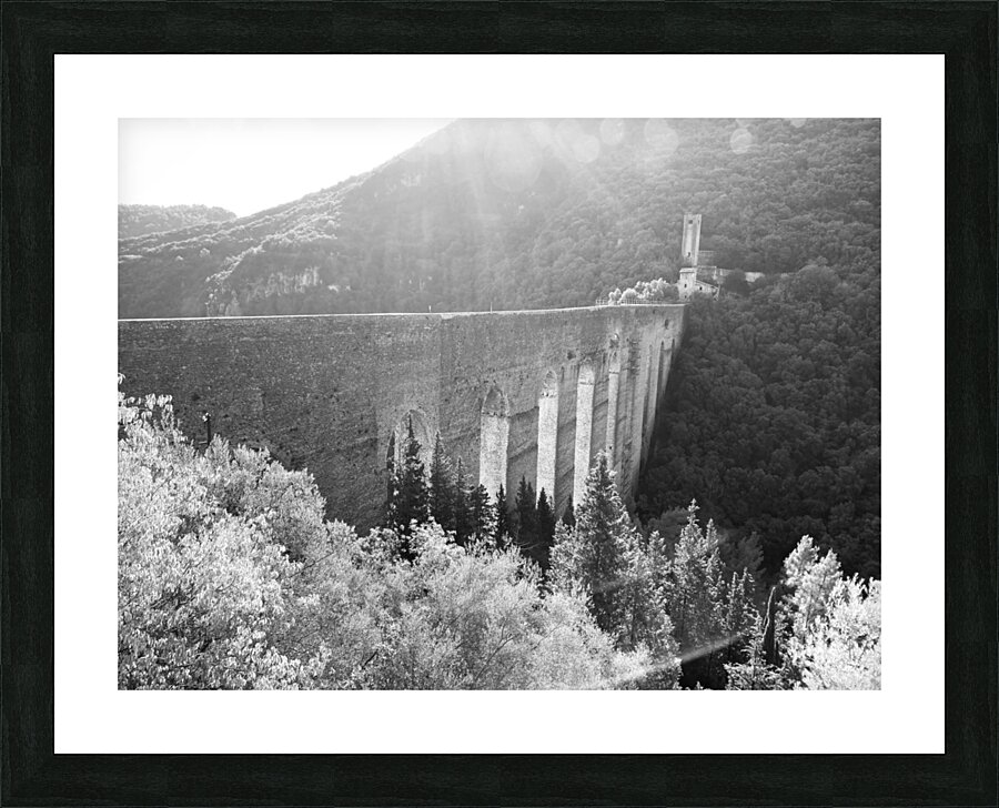Roman waterworks Picture Frame print
