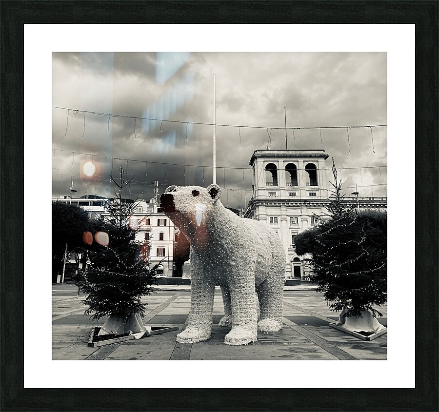 City bear noir Picture Frame print