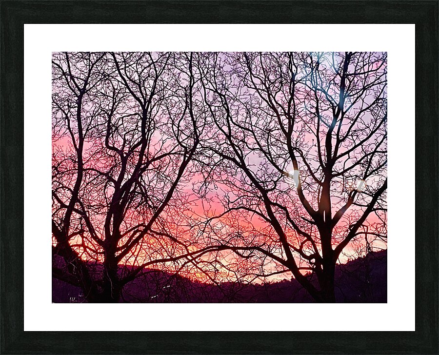 Sunset and branches Picture Frame print